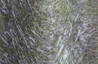 Whitlaw fibreglass roof work