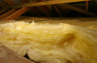 Whitlaw pitch roof insulation